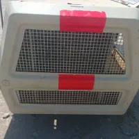 کمپرسور بادی