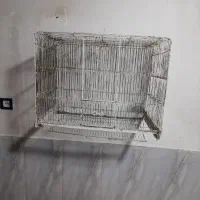 قفس ۴۰ در ۶۰