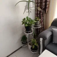استند گل فلزی
