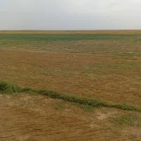 چراگاه گوسفنذ