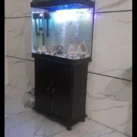 اکواریوم معاوضه