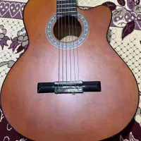 گیتار دایموند بهمراه کاور
