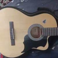 گیتار کلاسیک کورت 120