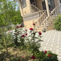 ویلا-شخصی-ساز-داخل-بافت-منطقه-سرسبز-بابلکنار