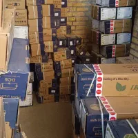 فروش عمده و تکی کاتالیست خودروهای ایرانی و خارجی