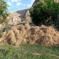 مخلوط علوفه ویونجه