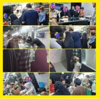طلای شیک فراهانی