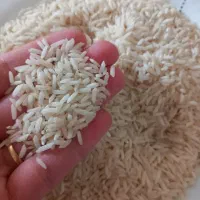 برنج هاشمی