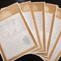 ضامن