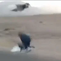 ۲ کفتر دستی فول