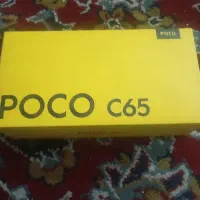 کوشی.شیامی.فروش.فوری