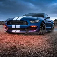 صافکار وارد نیازمندیم