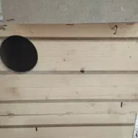 لونه پرنده چوبی