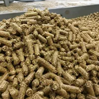 فروش خوراک دام طیور زیر نظر دامپزشک