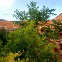 خانه-باغ