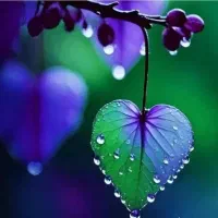 فروش سیم کارت