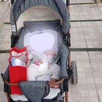 کالسکه دلیجان مدل بنیتا