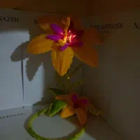 چراغ خواب ترند