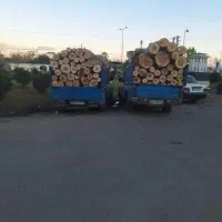 قطع درخت و خرید چوب درختان باغی و هرس مرکبات