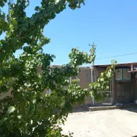 سوئیت اجاره ای روستای محمود آباد