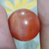 خرمشهر کوتشیخ خیابان اصلی روبروی بربری