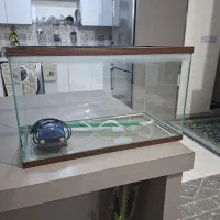 اکواریوم