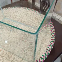 آکواریوم شیشه خم سالم