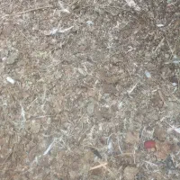 خاک کبوتر