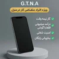 کارباگوشی ،کسب درامددرمنزل