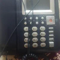 سالم هست