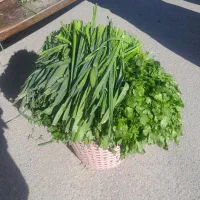 ۱۱۱۱۱|خوردنی و آشامیدنی|نهاوند, |دیوار