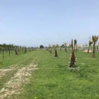 اقساط-آسان-دربهشت-شمال