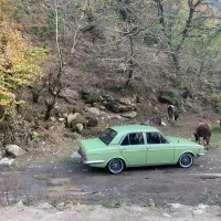 پیکان دولوکس