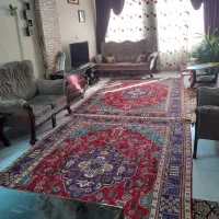 فروش یا معاوضه آپارتمان ۶۶ متری خوش نقشه شمالی