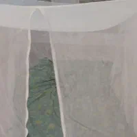 پشه بند