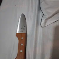 کامل نونو