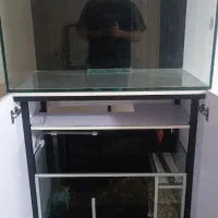 آکواریوم ریملس سامپ دار