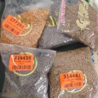 منجوق