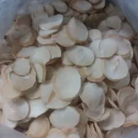 کارگاه خشک کردن موسیر