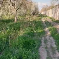 زمین-ویلایی-باغی
