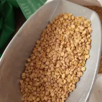 حبوبات|خوردنی و آشامیدنی|شیراز, تندگویان|دیوار