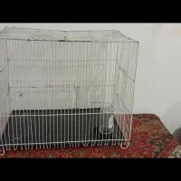 قفس پرنده|لوازم جانبی حیوانات|مشهد, کوی ولیعصر|دیوار