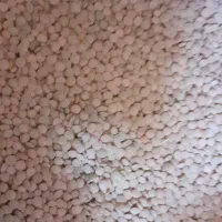 ۱۵۰‌من‌عدس‌تمیز