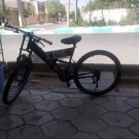 دوچرخه حرفه ای