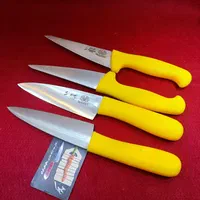 چاقو های بی خسی قصابی