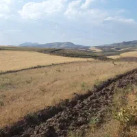 3000 متر زمین عبدل آباد کوهپایه جاده الموت