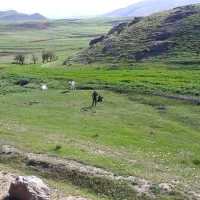 زمین-در-بافت-موشله