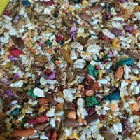 خرید و فروش انواع دانه پرنده و گندم و ارزن