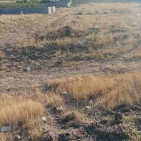 زمین-تجاری