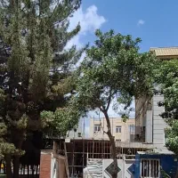 زمین-دونبش